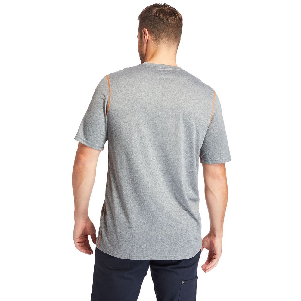 Camisetas Timberland Argentina Hombre - Pro® Big & Tall Wicking Good Sport Short-Sleeve - Gris - YBW